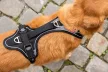 CURLI Kutyahám mágnessel Belka Comfort Black M, 20-30kg