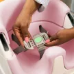 INGENUITY Podsedák na stoličku 2v1 Baby Base™ Peony 6m+ do 15 kg