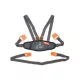 DREAMBABY Deluxe gyermekvezető heveder - Aranyos Tigris