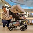 LIONELO Sport babakocsi Emma Plus Grey Dove