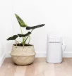LITTER LOCKER Kosárra húzható Design Cats