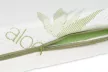 BABYMATEX Flora matrac, 120x60x10