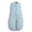 ERGOPOUCH Alvózsák és kezeslábas 2 az 1-ben organikus pamut Suit Dragonflies 3-12 hónap, 6-10 kg, 0,