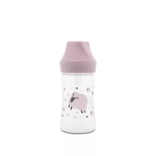 My Friend széles nyakú cumisüveg 250ml - Mellow Rose