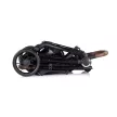 Chipolino Ultera sport babakocsi - Blackberry