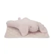 Lorelli Poffy Duo takaró 75x90 cm párnával 45x30 cm - Peach Bunny