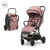 Lorelli Calista sport babakocsi 22kg-ig - Pink