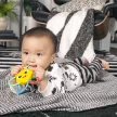 Baby Einstein Rágóka csörgővel Soothing Star BPA mentes - 0hó+