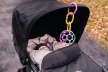 OBALL Játék OBALL™ Classic 10 cm 0hó + AQUAINT 50 ml - mix színek
