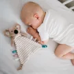 BabyOno szundikendõ Charlie koala plüss 1559