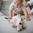 BabyOno szundikendõ Charlie koala plüss 1559