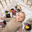 BabyOno játéklabda Contrast puha - C:MORE, érzékelésfejlesztõ kollekció 638 