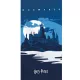 Harry Potter Hogwarts Blue fürdőlepedő, strand törölköző 70x140cm (Fast Dry)