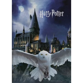 Harry Potter Roxfort polár takaró 100x140cm