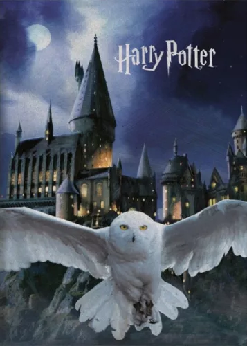 Harry Potter Roxfort polár takaró 100x140cm
