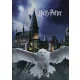 Harry Potter Roxfort polár takaró 100x140cm