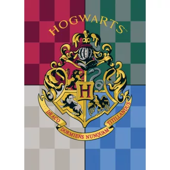 Harry Potter Heritage polár takaró 100x140cm