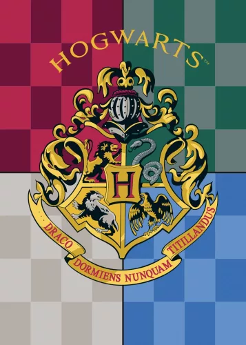 Harry Potter Heritage polár takaró 100x140cm