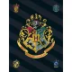Harry Potter Black polár takaró 100x140cm