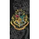 Harry Potter Black fürdőlepedő, strand törölköző 70x140cm