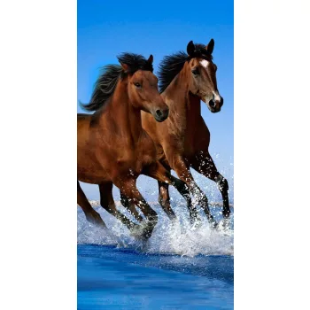   Lovas Ocean Riders fürdőlepedő, strand törölköző 70x140cm