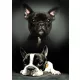 Kutyás Bulldog polár takaró 100x140cm