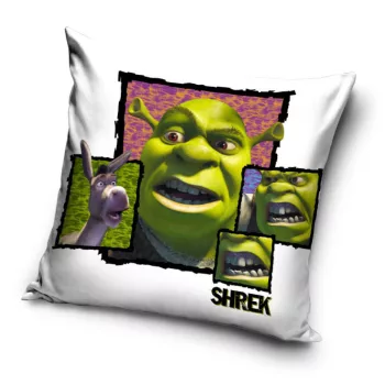 Shrek Fury párnahuzat 40x40 cm Velúr