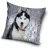 Kutyás Husky párnahuzat 40x40 cm