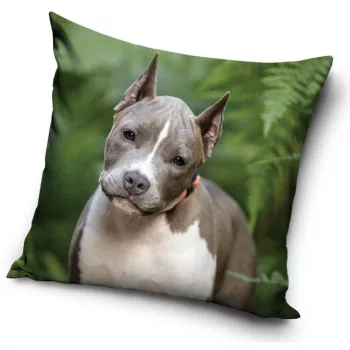 Kutyás Pit Bull Terrier párnahuzat 40x40 cm