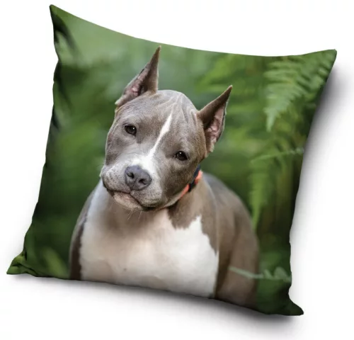 Kutyás Pit Bull Terrier párnahuzat 40x40 cm