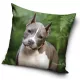 Kutyás Pit Bull Terrier párnahuzat 40x40 cm