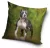Kutyás Amstaff párnahuzat 40x40 cm
