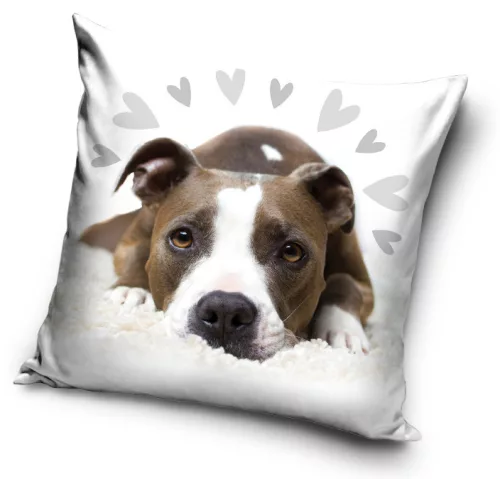 Kutyás Pit Bull Terrier Cute párnahuzat 40x40 cm