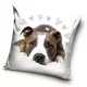 Kutyás Pit Bull Terrier Cute párnahuzat 40x40 cm