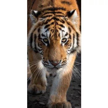 Tigris Stealth fürdőlepedő, strand törölköző 70x140cm