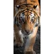 Tigris Stealth fürdőlepedő, strand törölköző 70x140cm