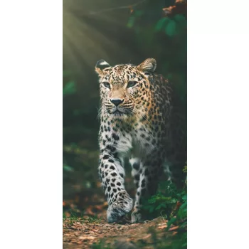   Leopárd Jungle fürdőlepedő, strand törölköző 70x140cm