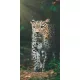 Leopárd Jungle fürdőlepedő, strand törölköző 70x140cm