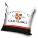 Cambridge University párnahuzat 40x40 cm