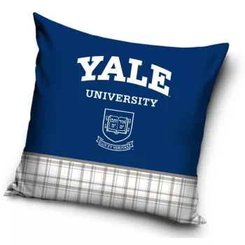 Yale University párnahuzat 40x40 cm
