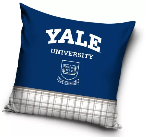 Yale University párnahuzat 40x40 cm