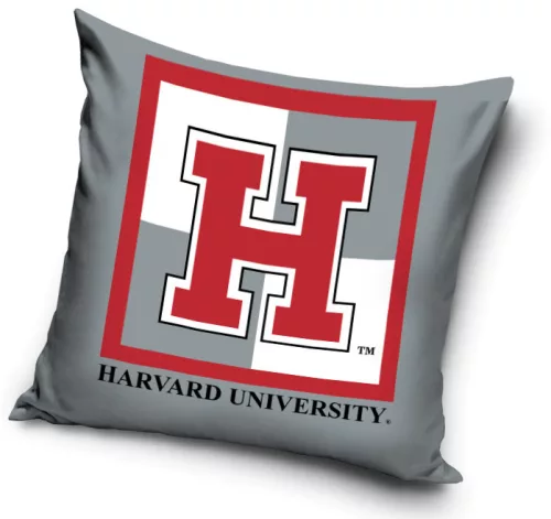 Harvard Univercity párnahuzat 40x40 cm