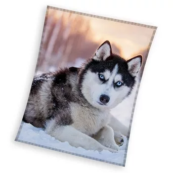 Kutyás Husky coral fleece polár takaró 150x200cm