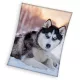 Kutyás Husky coral fleece polár takaró 150x200cm