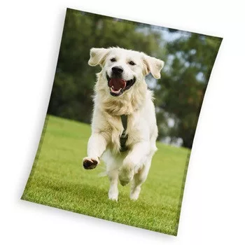 Kutyás Happytail Retriever coral fleece polár takaró 150x200cm