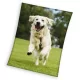 Kutyás Happytail Retriever coral fleece polár takaró 150x200cm