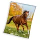 Lovas Gallop coral fleece polár takaró 150x200cm