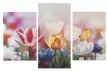 Tulipán Craft 3 részes gyémántszemes kirakó szett
