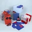 Pókember Web-Slinger gyerek átlátszó esernyő Ø71 cm
