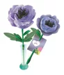 Virágkészítő szett Anemone 2 db-os Clementoni